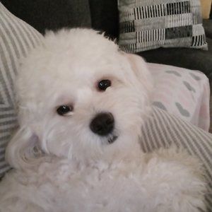 Meet your Posher, Jocelyn